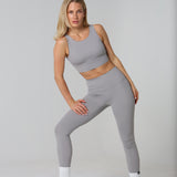 Sculpted 2.0 High Waisted Leggings - Lunar Grey