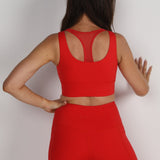 Sculpted Long Line Bra - Scarlet